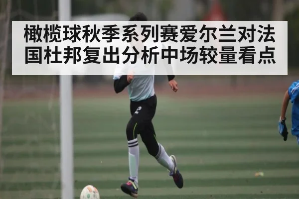 橄榄球秋季系列赛爱尔兰对法国杜邦复出分析中场较量看点